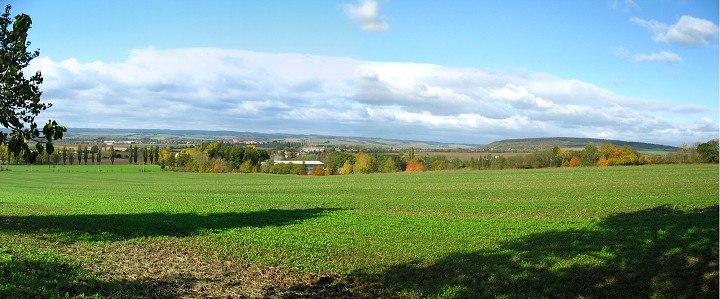 img00012.jpg