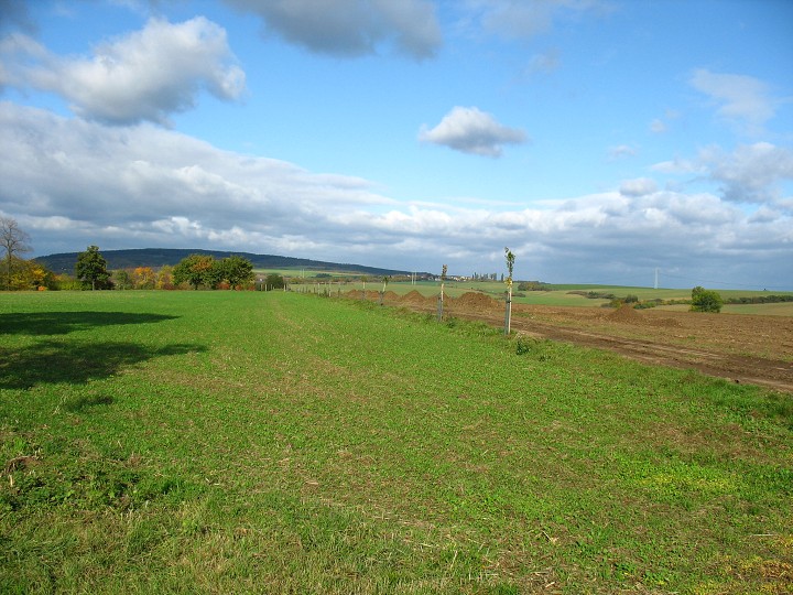 img00006.jpg