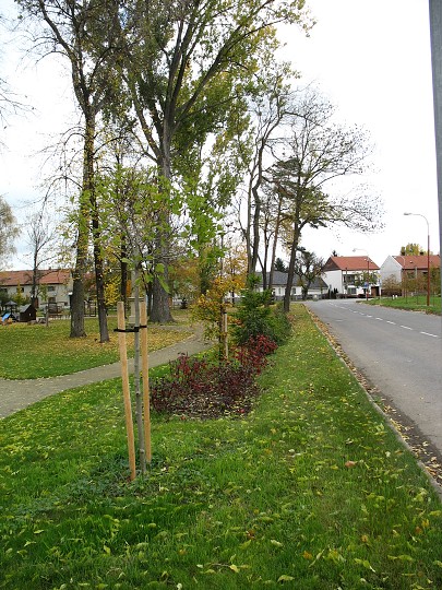 img00010.jpg