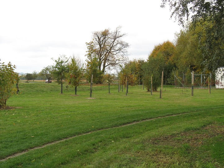img00011.jpg